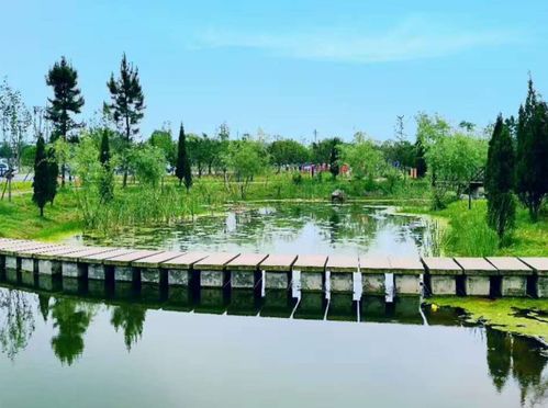 从日均三万到黯然摘牌 河南某景区的管理之殇