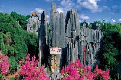 石林景区“五一”力推会员卡，200元畅游四大主景区全年无限次