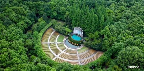 漫步金陵天然氧吧 探寻南京名胜风景区的生态融合与精细管理